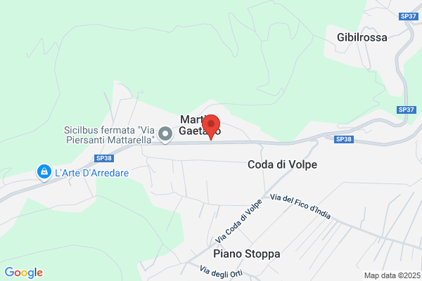 Service Auto Piccola Societ  Cooperativa A r.L.