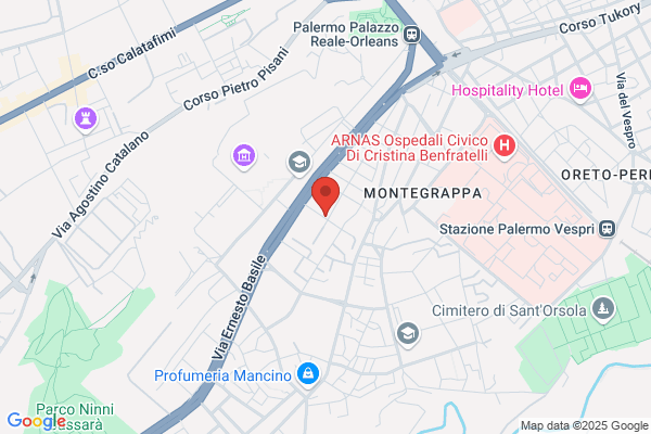 Pipitone graziella