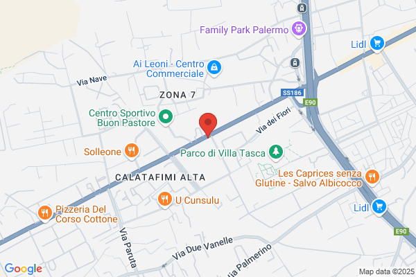 Sistemi Ortopedici di Blasi