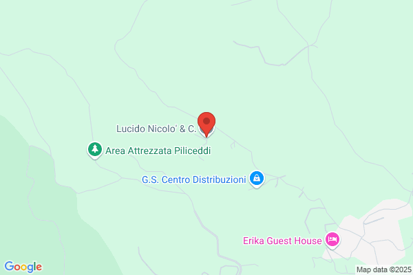 Lucido pietro