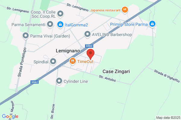 Tino Vezzoni S.R.L.