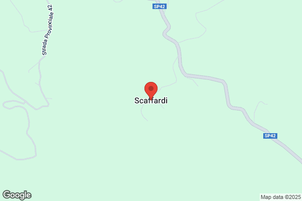 Scaffardi renato