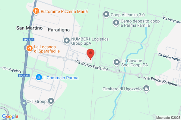 Gelmini Walter