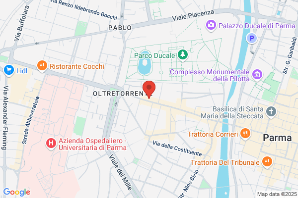 Organizzazione Stampa (S.R.L.)