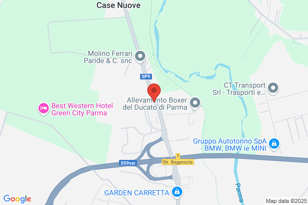 Tedeschi Automobili Di Giuseppe Tedeschi & C. sas