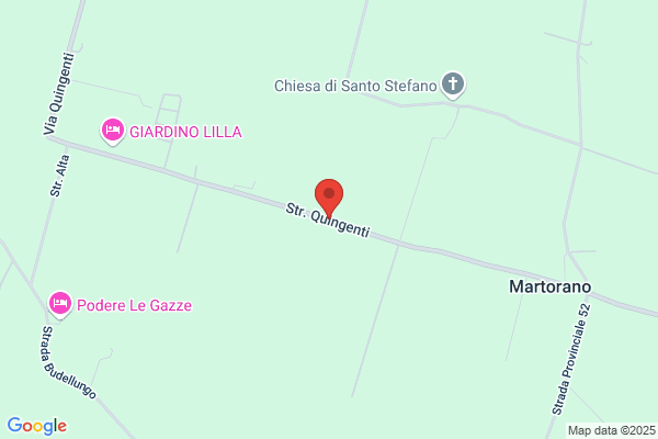Vignali enrica