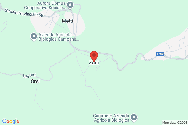 Zani santo