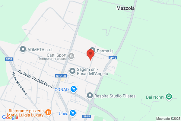 Studio Pelizziari Srl