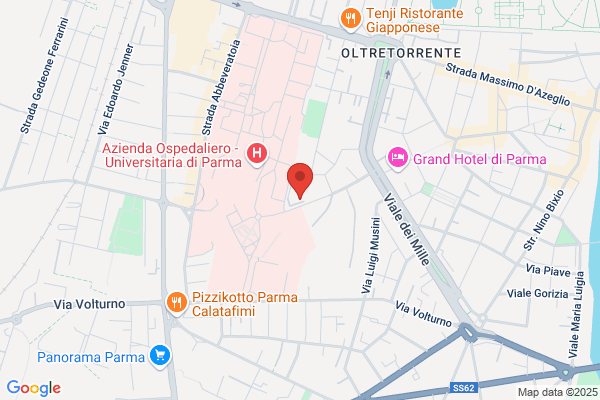Immobiliare San Vincenzo (S.R.L.)