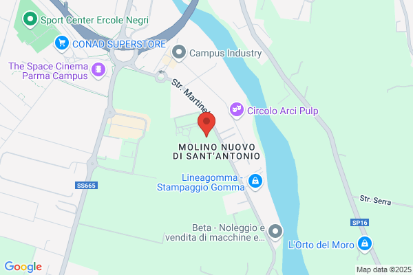 W.M.G. Consulenze S.R.L.
