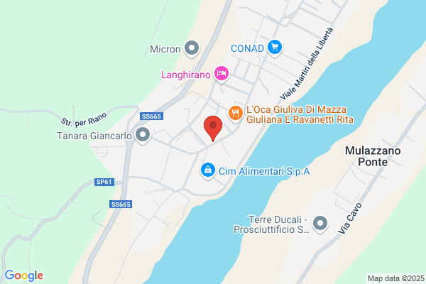 Fontanesi E Lo Presti S.R.L. 00000000