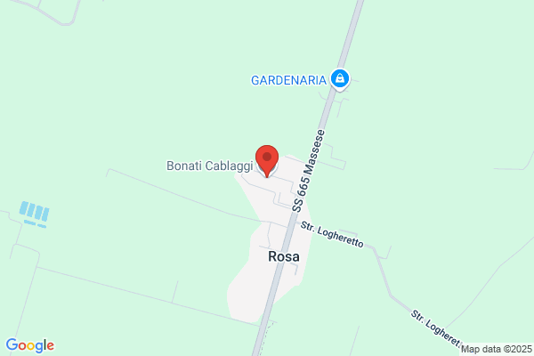 Bonati Cablaggi Srl