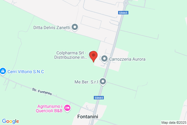 Piesse Progetti Di Panizzi Lorenzo & C. - s.a.s.
