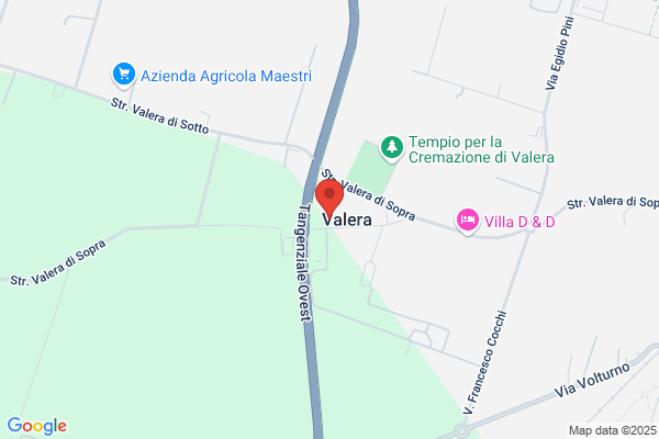 Mora angelo