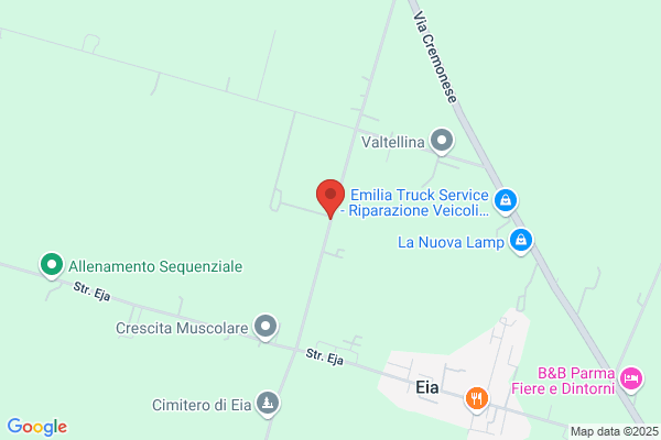 Fattori Donnino