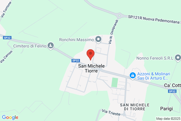 Tronic Systems Engineering S.A.S. Di Lottici Pierino & c.