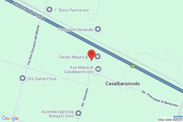 Maestri gianni