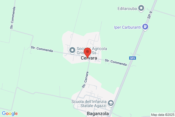 Sempreverdi