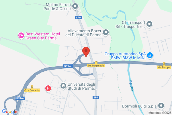 Torelli luca