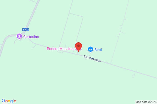 Soncini paola