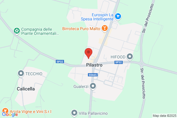 Cerdelli Preziosi S.R.L.