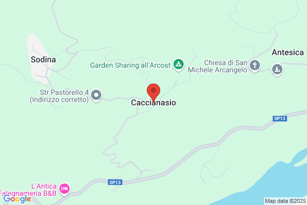 Goslino Cacciani Laura