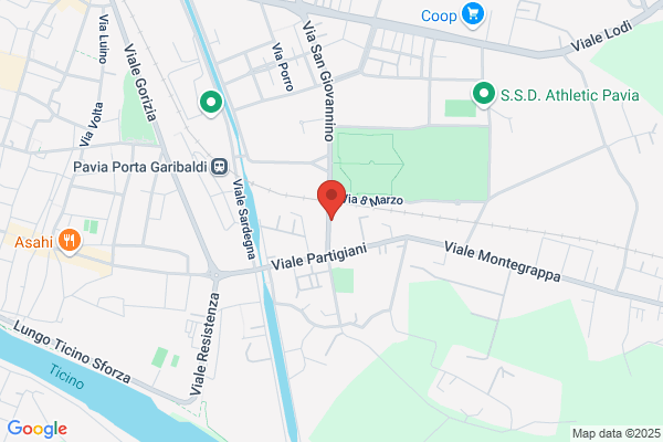 Pavia Motor & Company