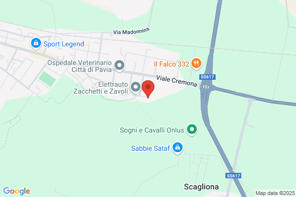 Scuole Pubbliche / Elementari E Materne Statali