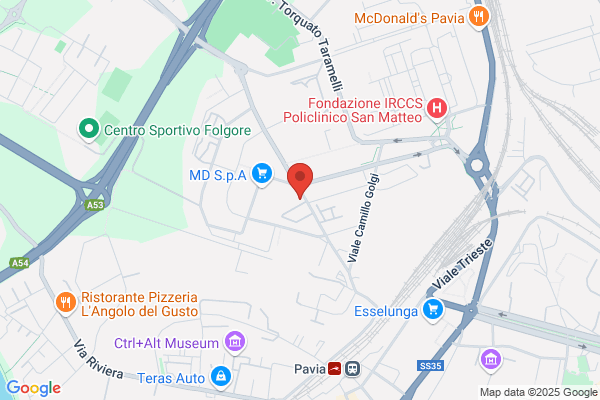 Palestra Gymnasium Di Borsa E Spada (S.N.C.)