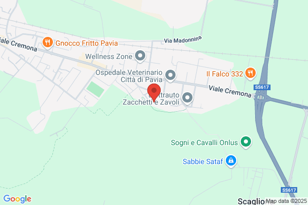 Parrocchia Di S. Carlo Borromeo Vescovo
