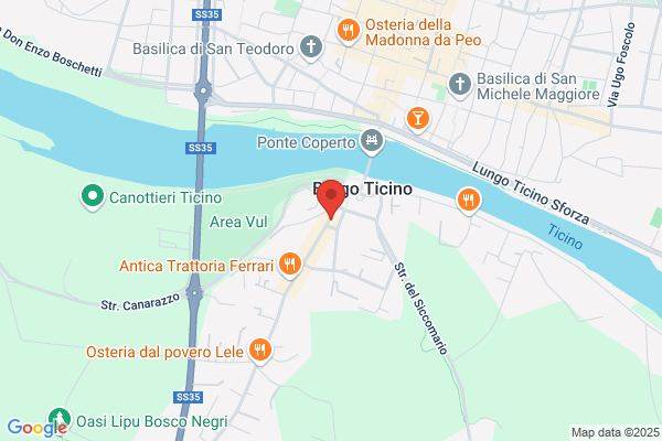 Minnone antonina