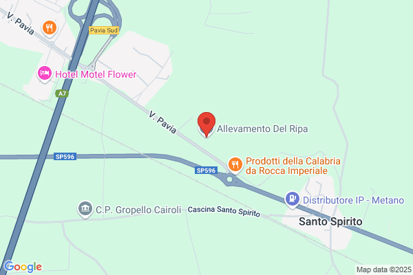 Salotto Del Cane Di Abrioni Barbara