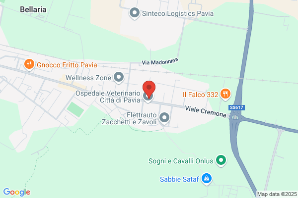 Sovel Srl