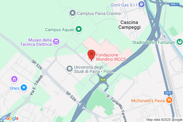 Fondazione Istituto Neurologico Casimiro Mondino