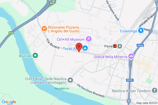 Notarnicola tiziana (Rag.)