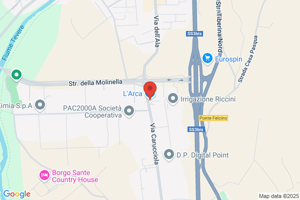 Larca Di Tinozzi Primo