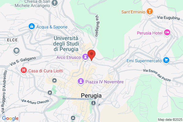 Spaccia augusta