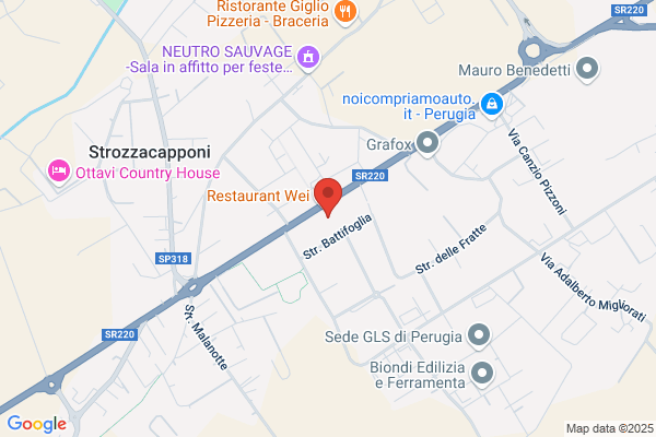 Autocarrozzeria B.M.Z.