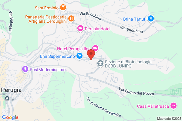Narducci ugo (Prof.Dr.)