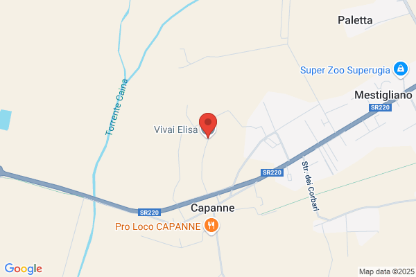 Azienda Agricola Vivaistica Elisa