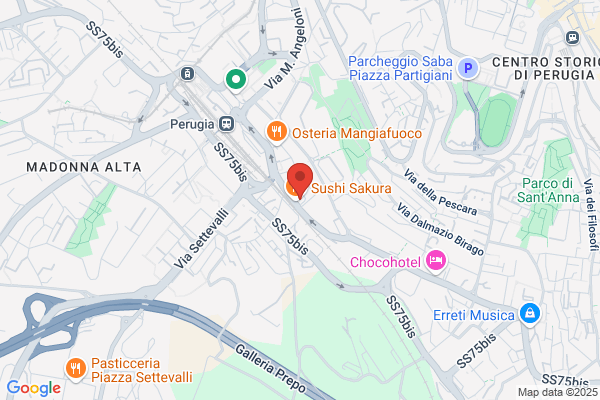 Selena Snc