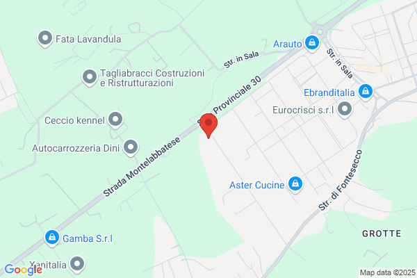 Pezzolesi elio