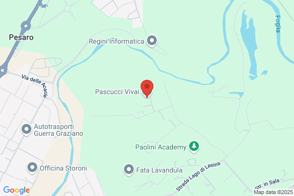 Pascucci riccardo