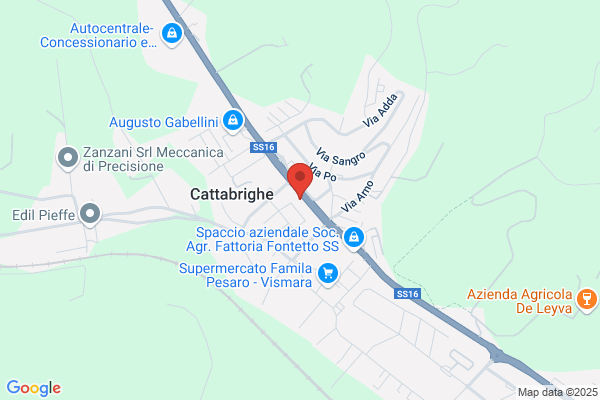 Ambulatorio Veterinario Associato Dott. Nunziatini E Dott. Delbianco