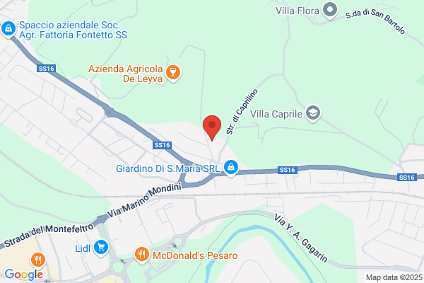 Scuole Direzione Didattica Vii Circolo