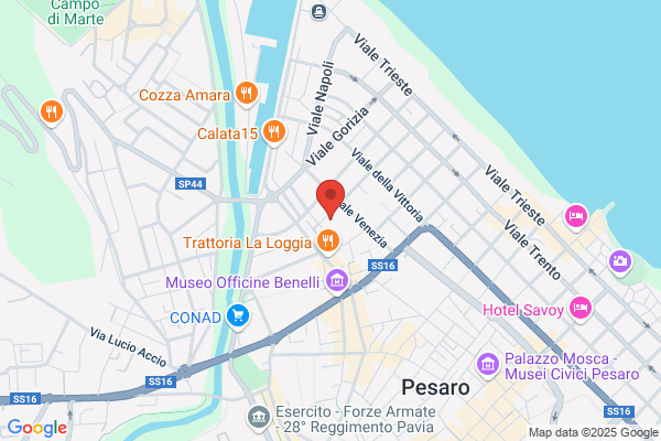 Scuole Pubbliche Elementari