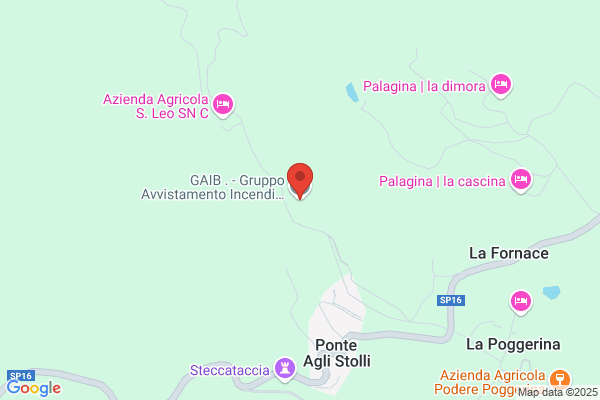Modulistica G.B. Di Giovagnoli F. E Baggiarini m. snc