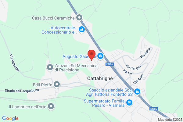 Patrignani maurizio