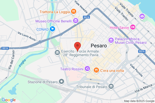 Polidori nevio (Geom.)