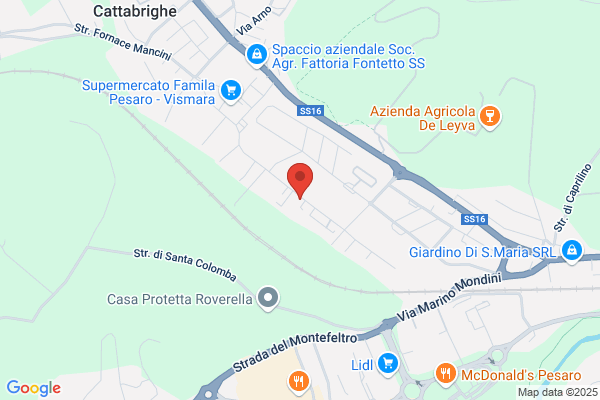 Radi Maurizio Srl